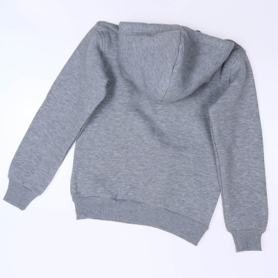 BOLD 3873 4162 Худи утепленное BOLD 3873 4162 Худи утепленное фото